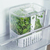 Conjunto 2 Organizadores de Temperos 1,5L Clear Fresh na internet