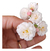 Micro Rosinha Dos Anjos - A Menor Rosa Do Mundo - Perfumada