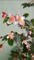 Bêgonia Fúcsia / Fuchsioides