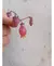 Kalanchoe Pendente Manginii / Sinos-da-praia na internet