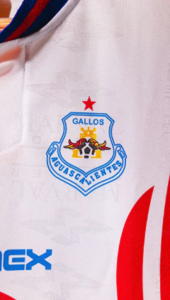 Jersey Gallos de Aguascalientes Local 2000-2001 - Jersinc