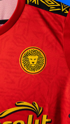 Jersey Leones Negros Visita 2020-2021 en internet