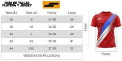 Jersey Alacranes de Durango Visita 2021-2022 - Jersinc