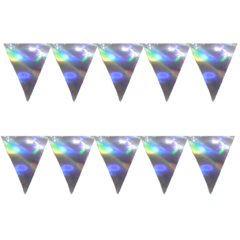 Banderin Triangular Tornasolado x1 Un