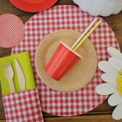 Plato De Sitio Cuadrille Picnic