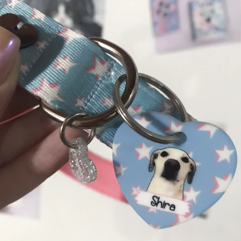 Collar + Chapita - comprar online