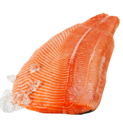 Filé de Salmão Fresco Premium Kg