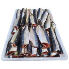 Sardinha Fresca Limpa