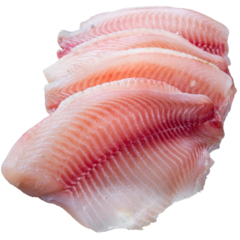 Filé de Tilapia - comprar online