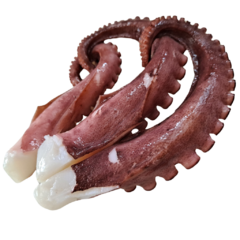 Tentáculos de Polvo