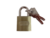 Cadeado Stam Zamac Latonado Pequeno E-Coat 25mm C/ 2 Chaves - comprar online