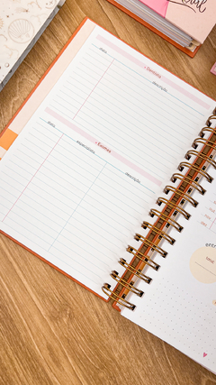 Imagem do PLANNER FOFO 2025