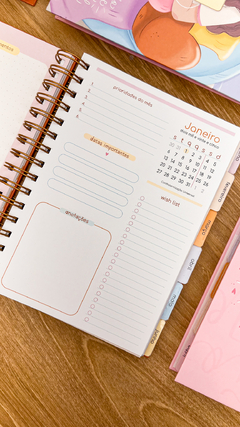Imagem do PLANNER DE DISCOS 2025