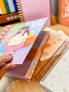 PLANNER DE DISCOS 2025 - comprar online