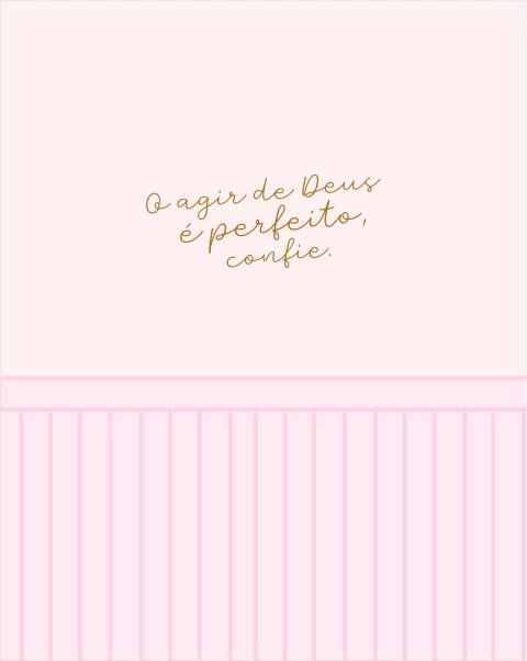 Imagem do Planner 2025