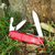 Cortapluma Victorinox Recruit Roja 10 Usos 0.2503 - comprar online