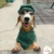 Boina Pet Regulável Com Cachecol Tweed Roupa Cães Inverno