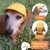 Boné Pet Para Cachorro E Gato Com Regulagem Amarelo