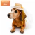 Chapéu Pet Festa Junina Fantasia Caipira Regulável - comprar online