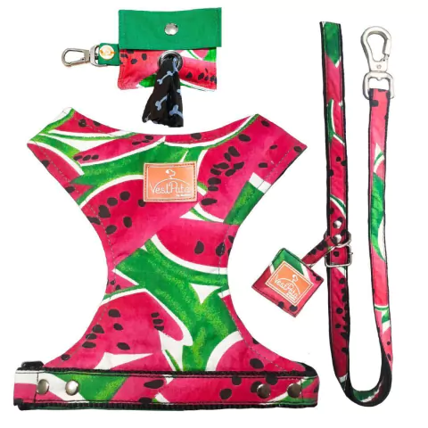 Kit Coleira Peitoral Pet Com Regulagem Guia E Cata Caca Estampa Melancia