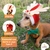 Fantasia De Natal Pet Com Gorro de Rena E Laço Regulável