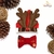 Fantasia De Natal Pet Com Gorro de Rena E Laço Regulável
