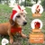 Fantasia De Natal Pet Com Gorro de Rena E Laço Regulável
