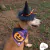 Fantasia Pet Halloween Abóbora Bandana com Chapéu de Bruxa