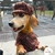 Boina Pet Regulável Com Cachecol Tweed Roupa Cães Inverno