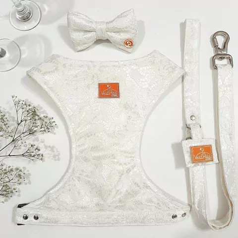 Kit Coleira Peitoral Casamento Com Guia e Laço Noiva Pet VestPata  Roupa de Noiva Pet