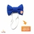 Laço Pet Tiara Ou Gravata Com Regulagem Azul Royal