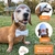Kit Boné Pet Com Laço Tiara Ou Gravata Branco