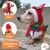 Fantasia Pet de Natal Boneco de Neve  com Gorro e Bandana Regulável + Laço Grátis