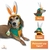 Fantasia Coelho da Páscoa Pet Boné com Bandana Regulável