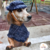 Boina Pet Regulável Com Cachecol Tweed Roupa Cães Inverno
