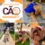 Kit 3 unds Boné Pet A Prova D'agua Impermeável Piscina Mar - loja online