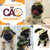 Chapéu Pet Festa Junina Fantasia Caipira Regulável - loja online