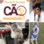 Kit Coleira Peitoral Pet Com Regulagem Guia Cata-Caca (Boné de Brinde) Estampa Abelha Tamanho G - loja online