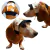 Kit Boné Pet Com Laço Tiara ou Gravata Estampado Raposa - Vest Pata | Moda Pet