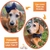 Kit Boné Pet com Laço Tiara ou Gravata Azul Marinho