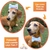 Kit Boné Pet Com Laço Tiara Ou Gravata Branco