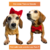 Kit Boné Pet com Laço Tiara ou Gravata Vermelho