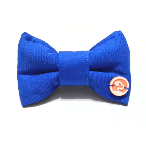 Laço Pet Tiara Ou Gravata Com Regulagem Azul Royal