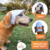 Boné Pet Para Cachorro e Gato Com Regulagem Branco