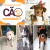 Laço Pet Tiara ou Gravata com Regulagem Estampado Melancia - loja online