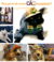 Banner de Vest Pata | Moda Pet