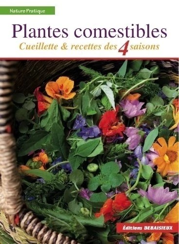 Plantes Comestibles : Cueillette et Recettes des 4 Saisons
