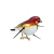 Broche passarinho vermelho OULET