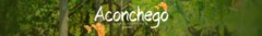 Banner da categoria ACONCHEGO