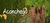 Banner rotativo 4